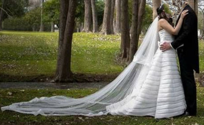 Vestido de Novia Pronovias AM82 MTY VENDIDO