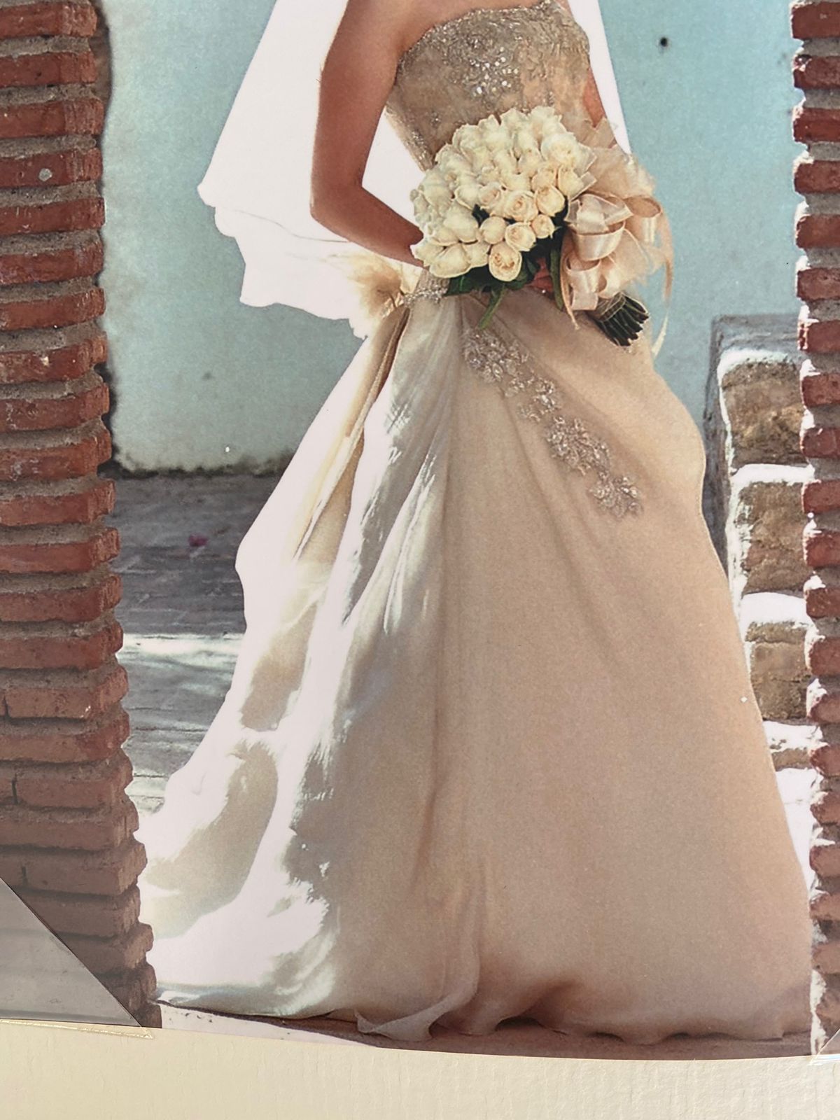 Vestido de Novia Pronovias VV69 Zacatecas