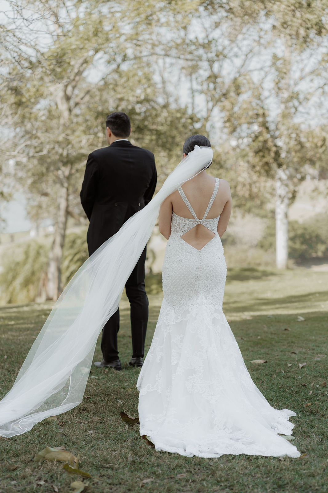 Vestido de Novia Pronovias MV02 MTY