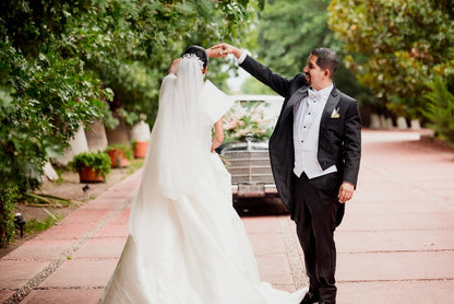 Vestido de Novia Pronovias GB34 GDL